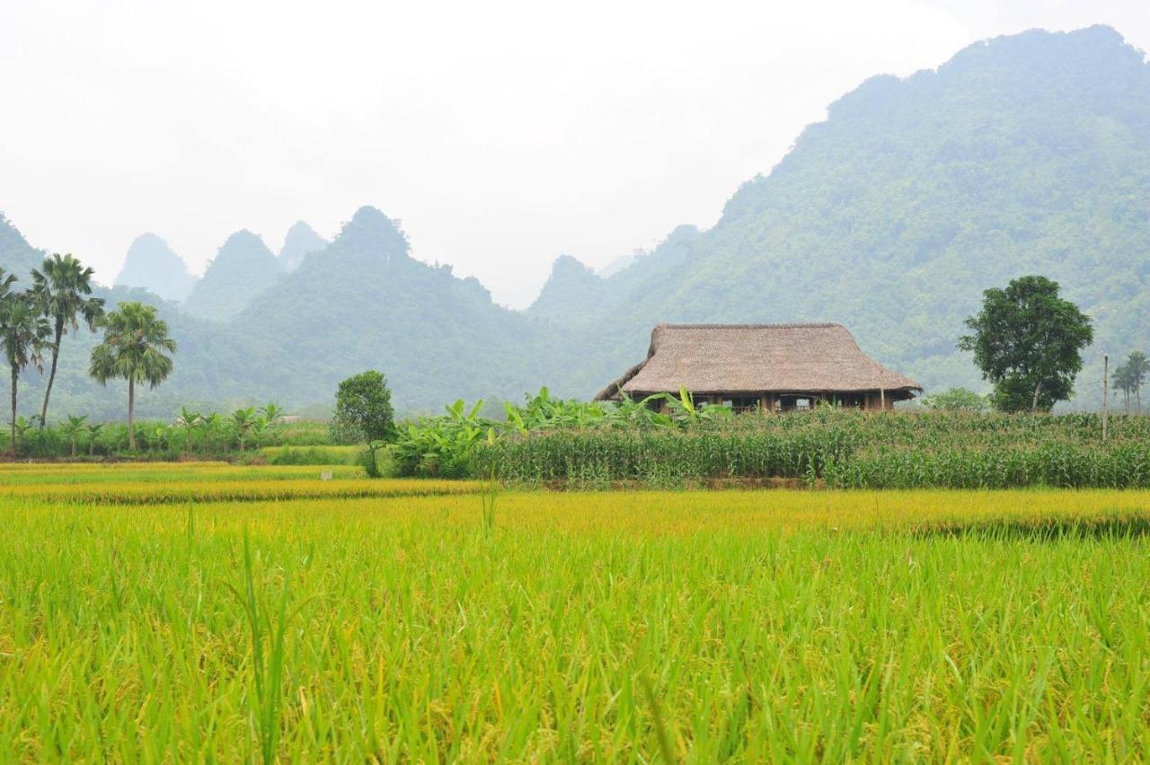 Xôi Farmstay - Eco Homestay Lục Yên Yên Bái Exterior foto