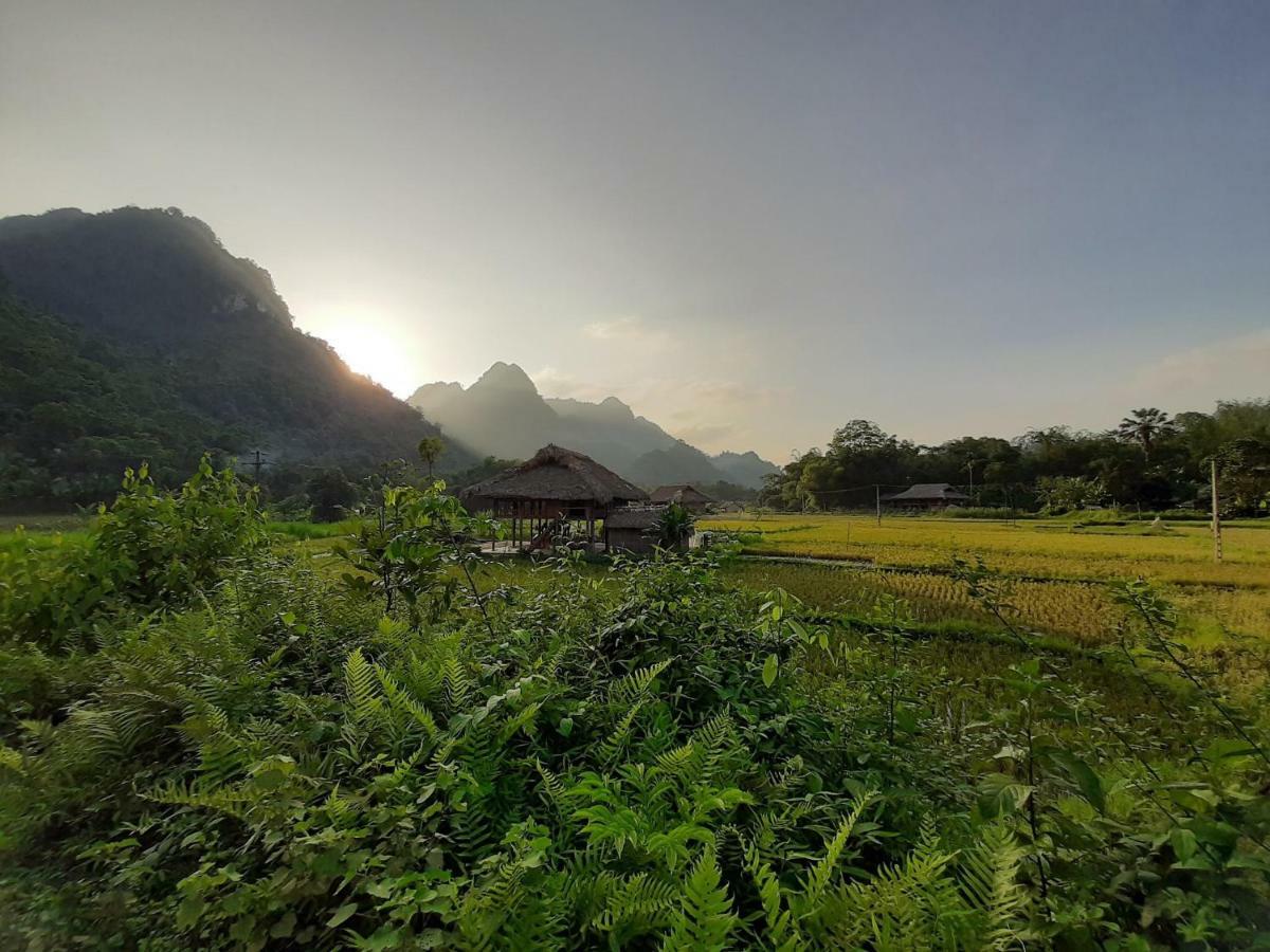 Xôi Farmstay - Eco Homestay Lục Yên Yên Bái Exterior foto